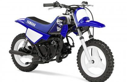 PW50 Blue