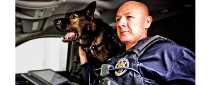 Dog leaning over a man's shoulder in a police car