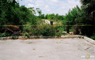 Yellow crime scene tape in front of brush behind a parking lot