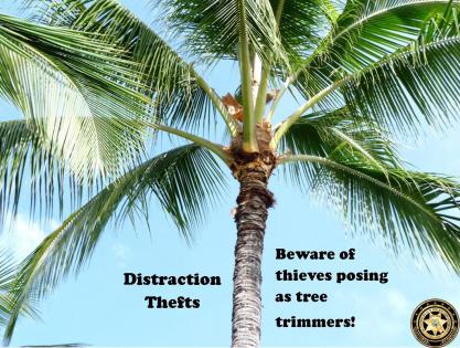 Distraction Thefts