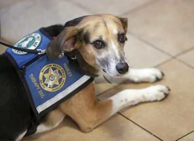 20180613_BRB_BB_Coffee_With_A_Cop_04 k9 Harley photo 3