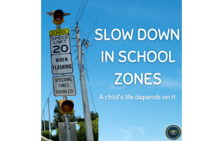 School zone signal speed limit 20 mph when flashing